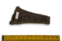 F 09397
<br/>
<br/>
<em></em>